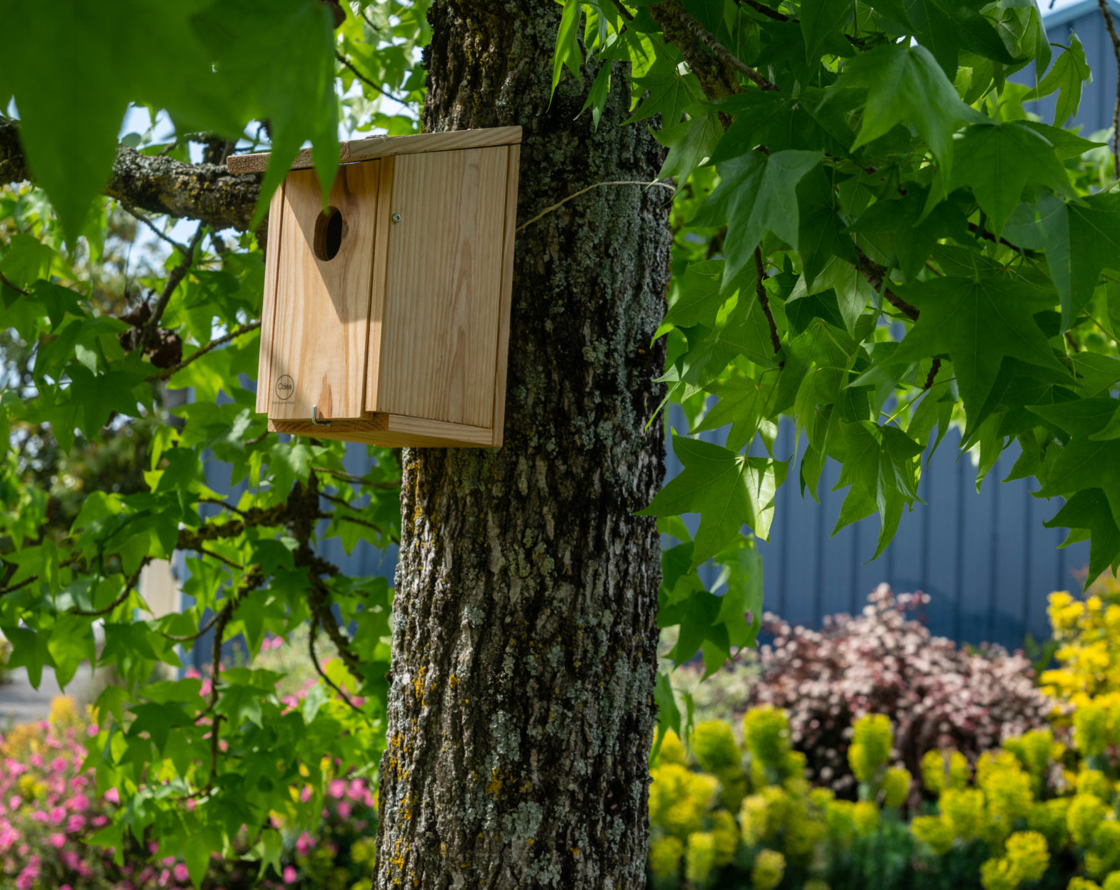 Nichoir accroché dans un arbre afin d'agir pour la biodiversité